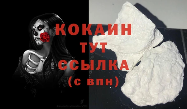 мяу мяу мука Баксан