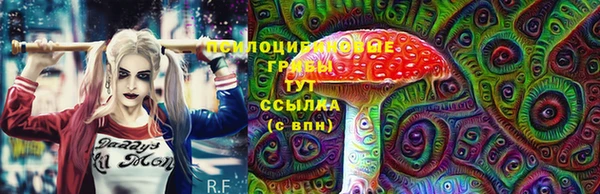 мяу мяу мука Баксан