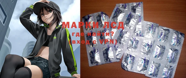мяу мяу мука Баксан