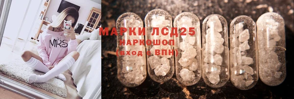 мяу мяу мука Баксан