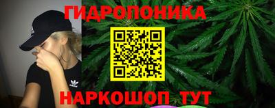 ГАЛЛЮЦИНОГЕННЫЕ ГРИБЫ Вязьма