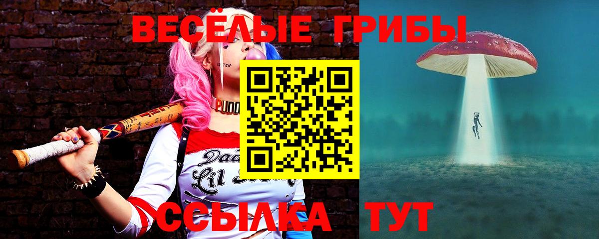 Псилоцибиновые грибы ЛСД  Вход с VPN  Псилоцибиновые грибы Psilocybe  Борисоглебск 