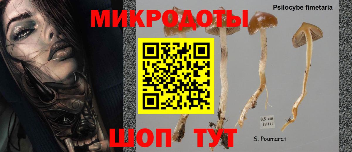 Псилоцибиновые грибы GOLDEN TEACHER Борисоглебск
